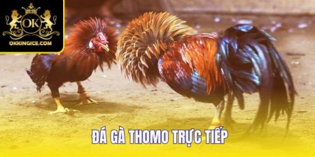 da-ga-thomo-truc-tiep