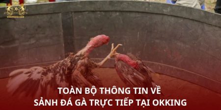 da-ga-truc-tiep-toan-bo-thong-tin