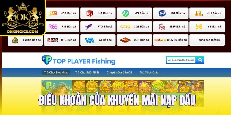 Điều khoản ưu đãi quan trọng do OKKING đặt ra