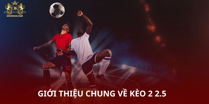 Giới thiệu chung về kèo 2 2.5