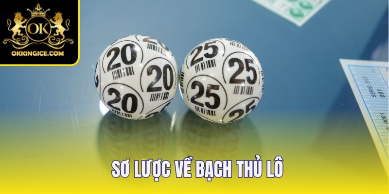 Sơ lược về bạch thủ lô