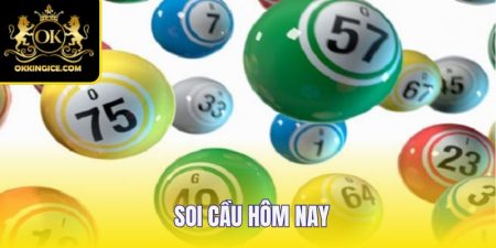 soi-cau-hom-nay
