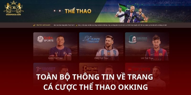 Các sản phẩm mà thể thao OKKING cung cấp