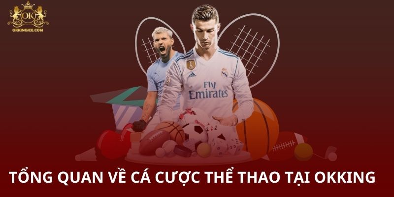 Tổng quan về cá cược thể thao tại OKKING